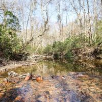 130 acres of hunting land in Autauga County images 4