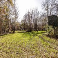130 acres of hunting land in Autauga County images 5