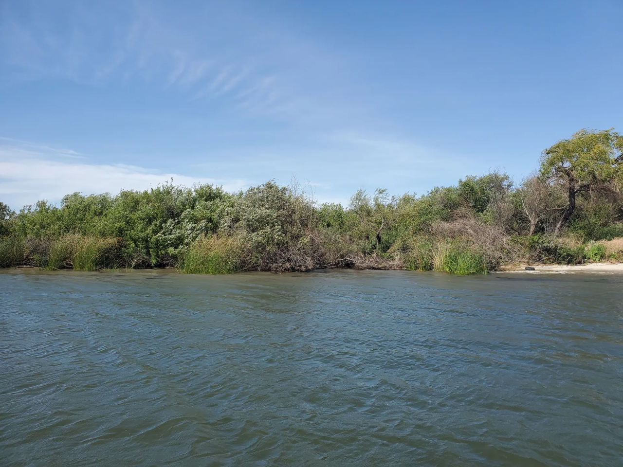 Hog Island Hunting Land for Sale