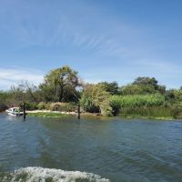 Hog Island images 3