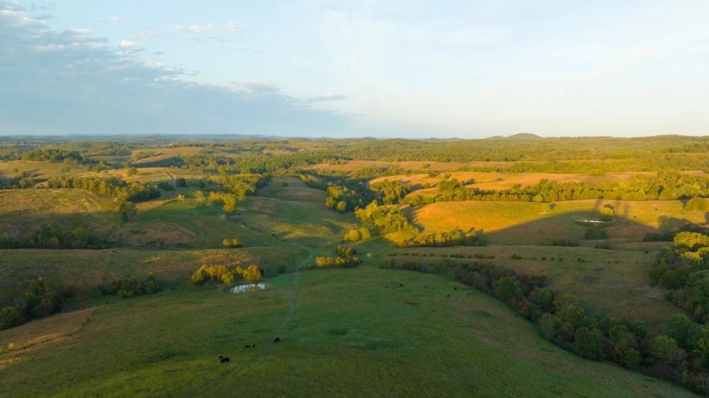 NewOzarks Cattle Ranch For Sale Near Bull Shoals Lake Property featured image