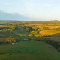 NewOzarks Cattle Ranch For Sale Near Bull Shoals Lake Property