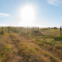 NewOzarks Cattle Ranch For Sale Near Bull Shoals Lake Property images 2