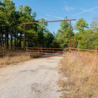 NewOzarks Cattle Ranch For Sale Near Bull Shoals Lake Property images 3