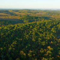 NewOzarks Cattle Ranch For Sale Near Bull Shoals Lake Property images 4