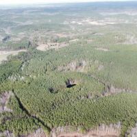 160 ac Timber Tract In Winston Co. AL images 3