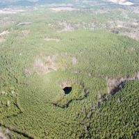 160 ac Timber Tract In Winston Co. AL images 4