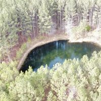 160 ac Timber Tract In Winston Co. AL images 5