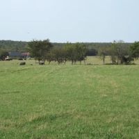Rouse Road Ranch 450 Acres