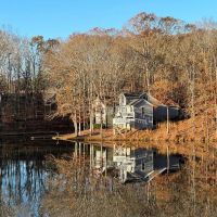 155 Acres with Stunning Lakehouse in Roopville GA images 4