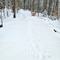 160 Cross Road - Piermont images 5