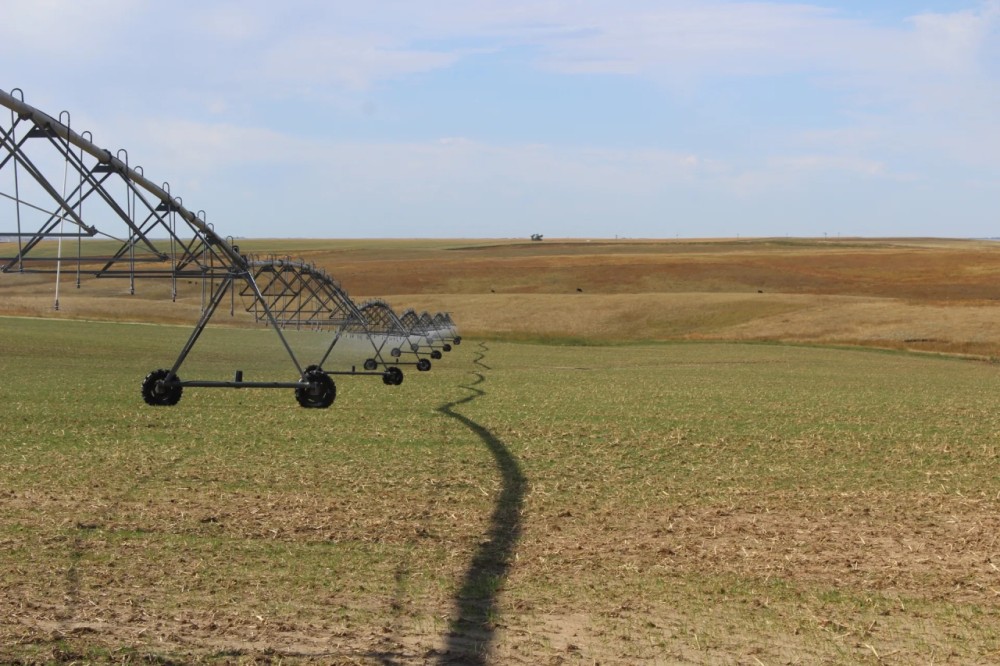Lewellen Pivot featured image