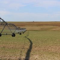 Lewellen Pivot