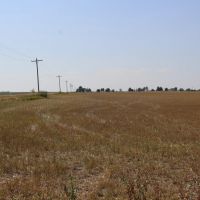 Lewellen Pivot images 3