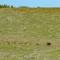 Pritchard Sumner Ranch images 5