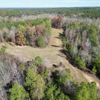 80 Acres Land for Sale Borders National Forest Amite Co MS