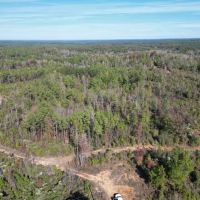80 Acres Land for Sale Borders National Forest Amite Co MS images 2