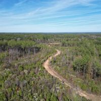 80 Acres Land for Sale Borders National Forest Amite Co MS images 3