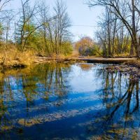 3 Bed 2 Bath 13 - Acres Year Round Creek Pasture Pleasant Grove Arkansas images 3