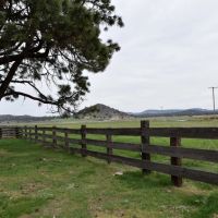 Four J Ranch images 1
