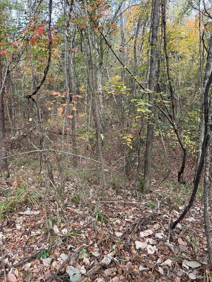 66-133-mocassin-creek-tract featured image