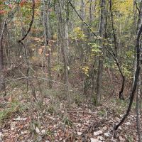 66-133-mocassin-creek-tract images 1
