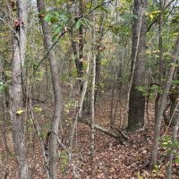 66-133-mocassin-creek-tract images 2