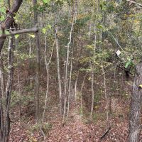 66-133-mocassin-creek-tract images 3