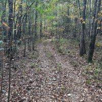66-133-mocassin-creek-tract images 4