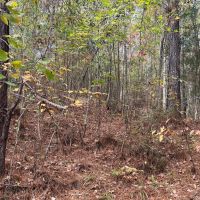 66-133-mocassin-creek-tract images 5