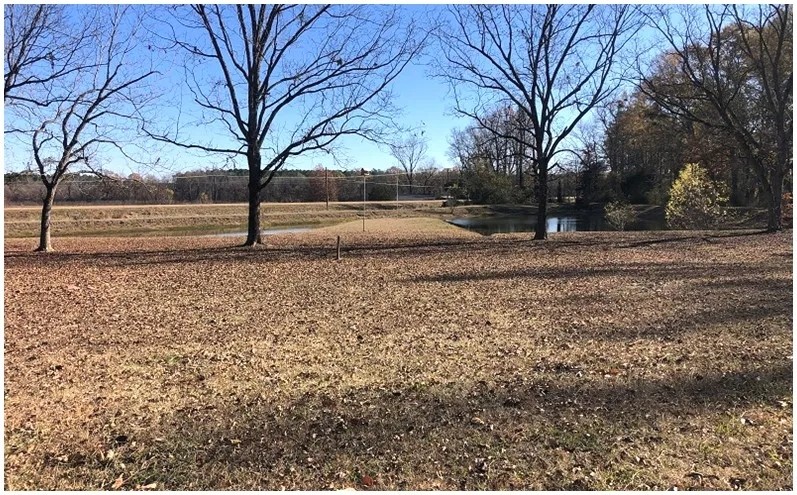 21 Acres in Carroll County in Vaiden MS featured image