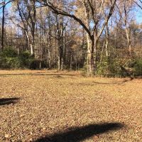 21 Acres in Carroll County in Vaiden MS images 2