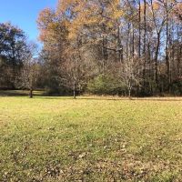 21 Acres in Carroll County in Vaiden MS images 3