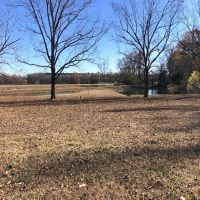 21 Acres in Carroll County in Vaiden MS images 4