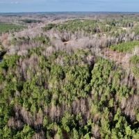 11.313 acres of Residential Land For Sale in Nash County NC images 2