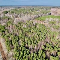 11.313 acres of Residential Land For Sale in Nash County NC images 3