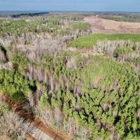 11.313 acres of Residential Land For Sale in Nash County NC images 4