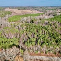 11.313 acres of Residential Land For Sale in Nash County NC images 5