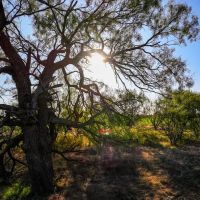 Cypert Place images 4