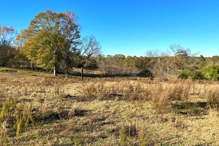 26 Acres in Jasper County in Laurel MS featured image
