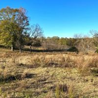 26 Acres in Jasper County in Laurel MS