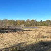 26 Acres in Jasper County in Laurel MS images 5