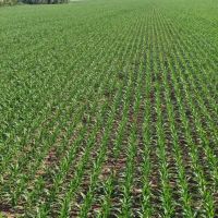 57 Acre Income Producing Kansas Land for Sale Osage County images 3