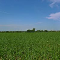 57 Acre Income Producing Kansas Land for Sale Osage County images 5