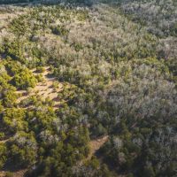 Hoosier Branch Hollow images 3