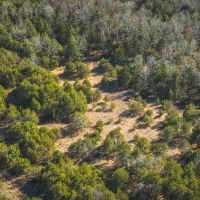 Hoosier Branch Hollow images 4