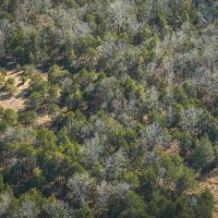 Hoosier Branch Hollow images 5