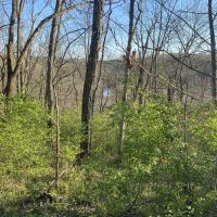 25 wooded acres surrounded by 2 creeks