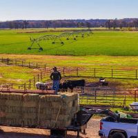 Davis Farm images 3