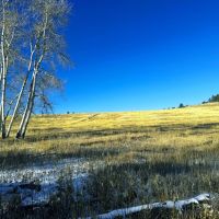 Cowboy Heaven images 4
